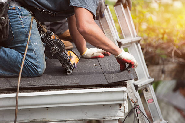 Best Storm Damage Roof Repair  in Dimmitt, TX
